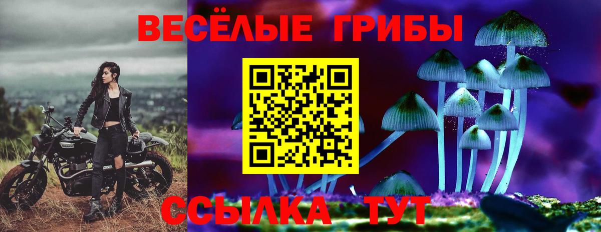 Псилоцибиновые грибы GOLDEN TEACHER Ставрополь