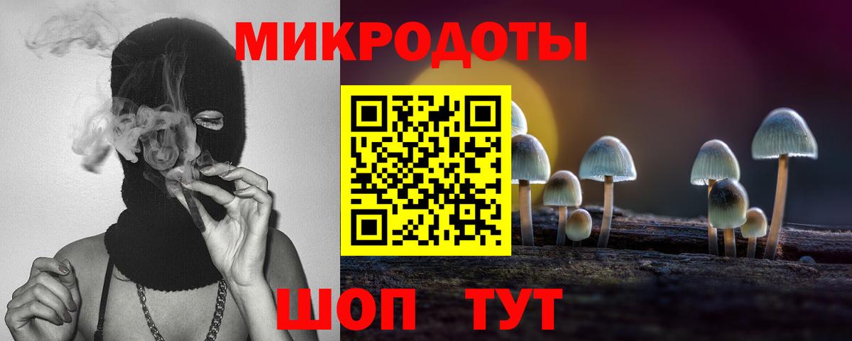 Галлюциногенные грибы Psilocybine cubensis  Вход с VPN  Галлюциногенные грибы Psilocybine cubensis  Ставрополь 